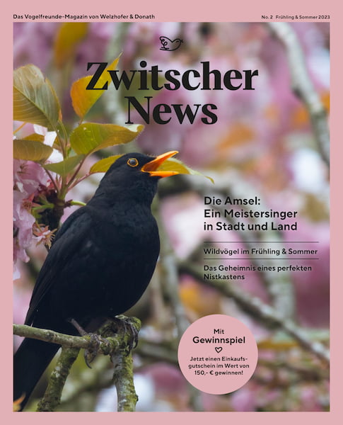 Zwitscher News Frühling & Sommer 2023